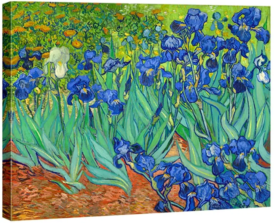 Irises No Framed Floral Giclee Canvas By Van Gogh Flowers Oil Paintings Reproduction Hand Painted On Canvas Wall Art For Home
Irises No Framed Floral Giclee Canvas By Van Gogh Flowers Oil Paintings Reproduction Hand Painted On Canvas Wall Art For Home
