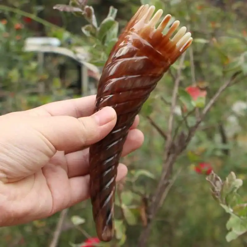 Natural Yak Horn Point Pencil Acupressure Cone Shampoo Comb Care Tool Massager Acupuncture Head Massage Bath Dredge Meridian
Natural Yak Horn Point Pencil Acupressure Cone Shampoo Comb Care Tool Massager Acupuncture Head Massage Bath Dredge Meridian