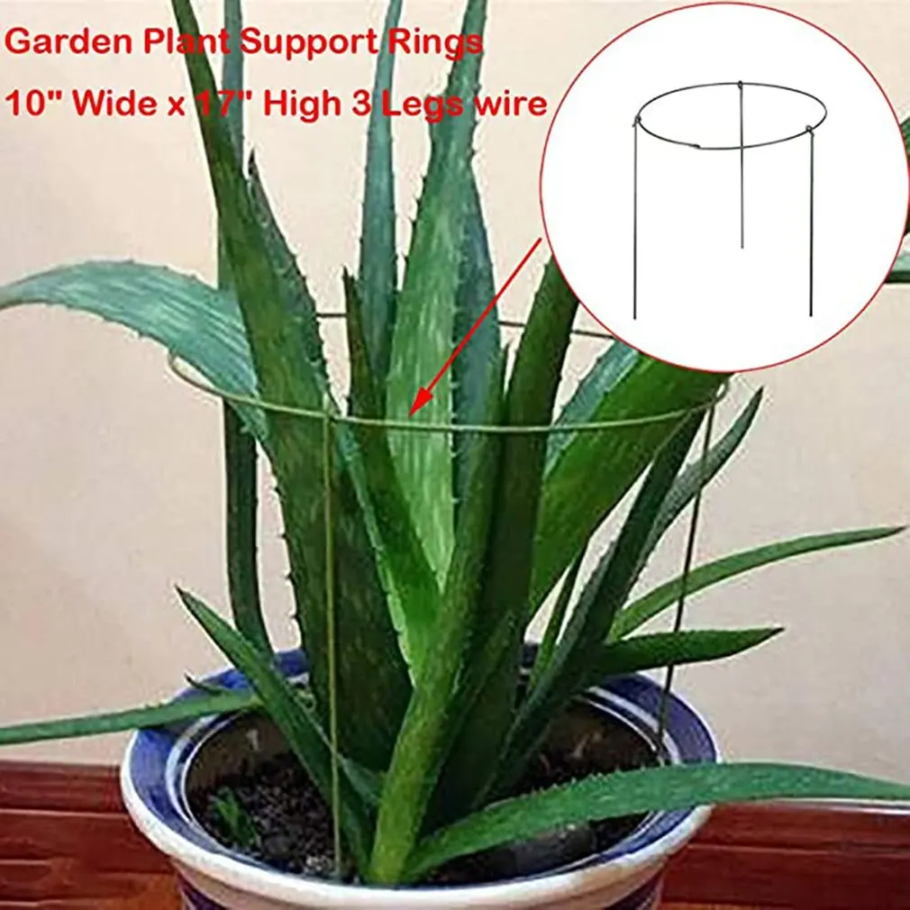Steel Plant Support Round Trellis For Plants Garden Weatherproof Flower Holder Shrub Holder Flower Support
Steel Plant Support Round Trellis For Plants Garden Weatherproof Flower Holder Shrub Holder Flower Support