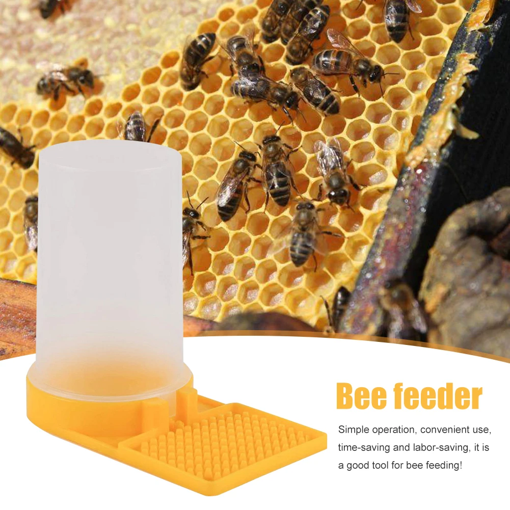 Beekeeping Feeder Plastic Tools Honeycomb Bee Watering Feeder Honey Bee Nest Door Feeding Drinking Water Box
Beekeeping Feeder Plastic Tools Honeycomb Bee Watering Feeder Honey Bee Nest Door Feeding Drinking Water Box