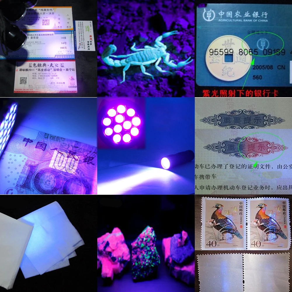 LED UV Flashlight Ultraviolet Torch Mini UV Light Function 365nm Ultra Violet Light Flashlight
LED UV Flashlight Ultraviolet Torch Mini UV Light Function 365nm Ultra Violet Light Flashlight
