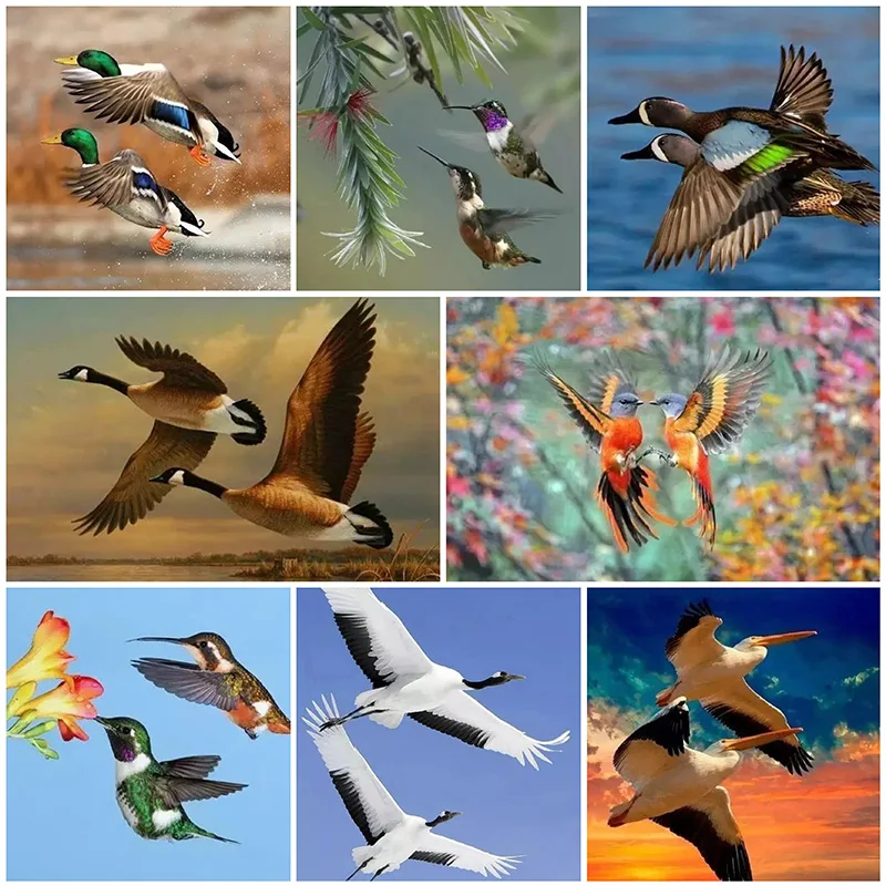 Diamond Painting 5D Diamonds DIY Animal-Bird Cross Stitch Full Square Drill Embroidery Colorful Handmade Home Room Wall Decor
Diamond Painting 5D Diamonds DIY Animal-Bird Cross Stitch Full Square Drill Embroidery Colorful Handmade Home Room Wall Decor
