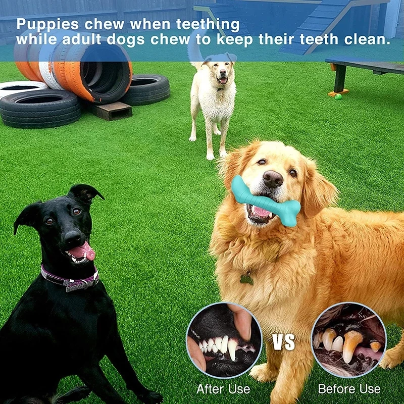 Dog Chew Toys Jaw Exerciser Chew Strong Food Dispensing Dog Bone Non-Toxic Interactive Treat Puppy Pet Toys Natural Rubber
Dog Chew Toys Jaw Exerciser Chew Strong Food Dispensing Dog Bone Non-Toxic Interactive Treat Puppy Pet Toys Natural Rubber