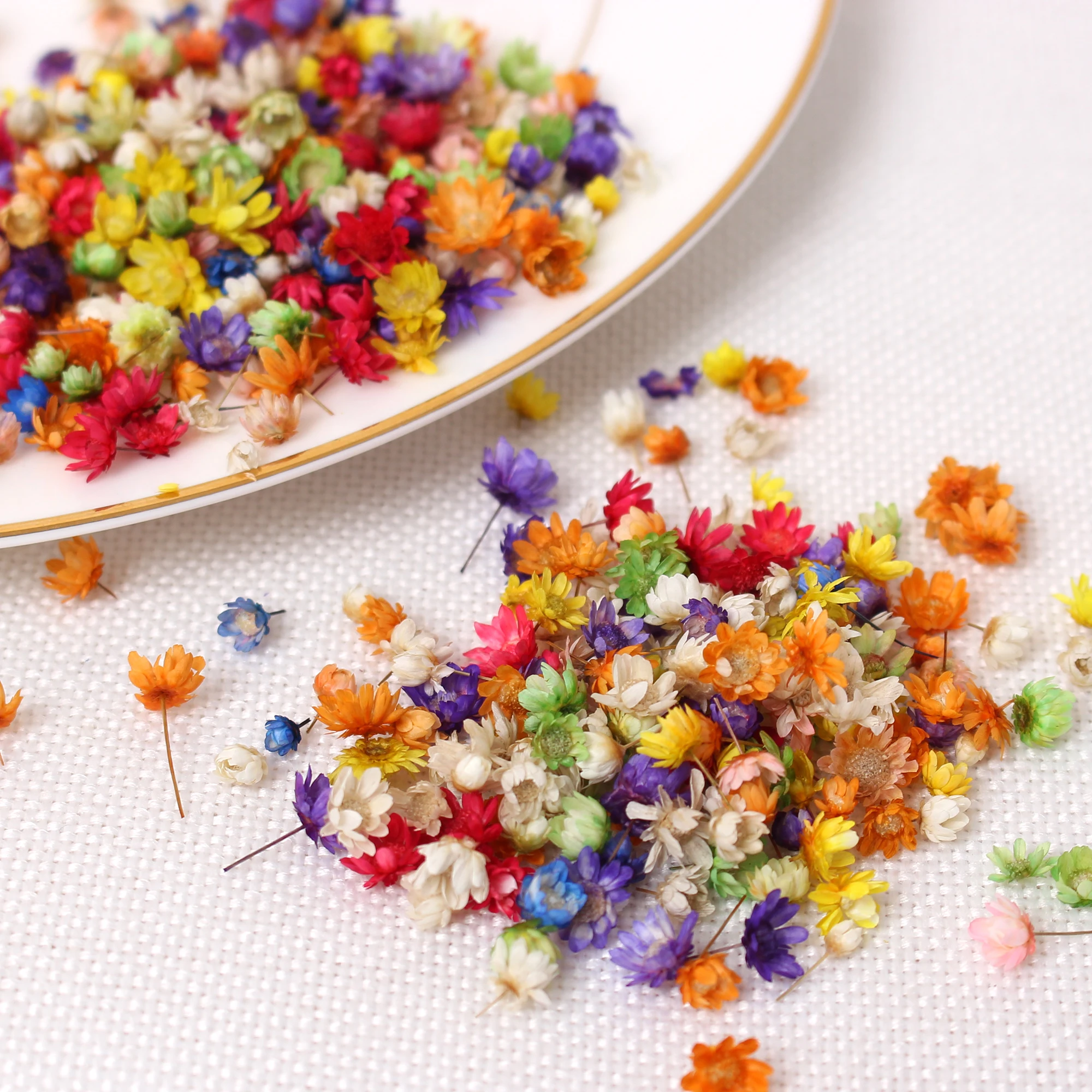 200pcs Brazilian Little Star Flower Dry Plants For Aromatherapy Candle Epoxy Resin Pendant Necklace Jewelry Making Craft
200pcs Brazilian Little Star Flower Dry Plants For Aromatherapy Candle Epoxy Resin Pendant Necklace Jewelry Making Craft
