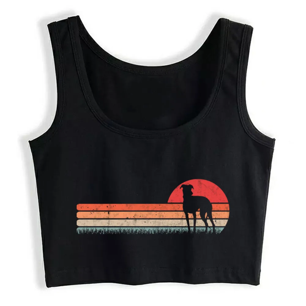 Crop Top Women Galgo Español Vintage Spain Greyhound Harajuku Tank Top Women Comic Women Clothes
Crop Top Women Galgo Español Vintage Spain Greyhound Harajuku Tank Top Women Comic Women Clothes