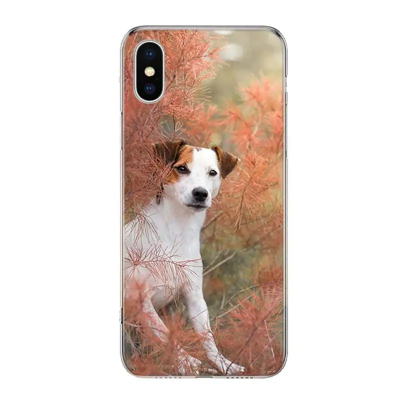 Jack Russell Terrier Dog Phone Case for Apple iphone 11 12 Mini Pro XR X Xs Max 7 8 6 6s Plus 7G 6G 5G 5S 5 SE + Customize Cover
Jack Russell Terrier Dog Phone Case for Apple iphone 11 12 Mini Pro XR X Xs Max 7 8 6 6s Plus 7G 6G 5G 5S 5 SE + Customize Cover
