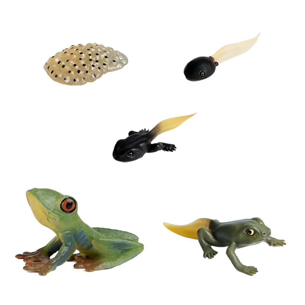 Пластик детей насекомые цикл рисунок в виде лягушки из рост модели Playset дошкольные учебные заведения воображение игрушки для знакомства с б... 
Пластик детей насекомые цикл рисунок в виде лягушки из рост модели Playset дошкольные учебные заведения воображение игрушки для знакомства с б...