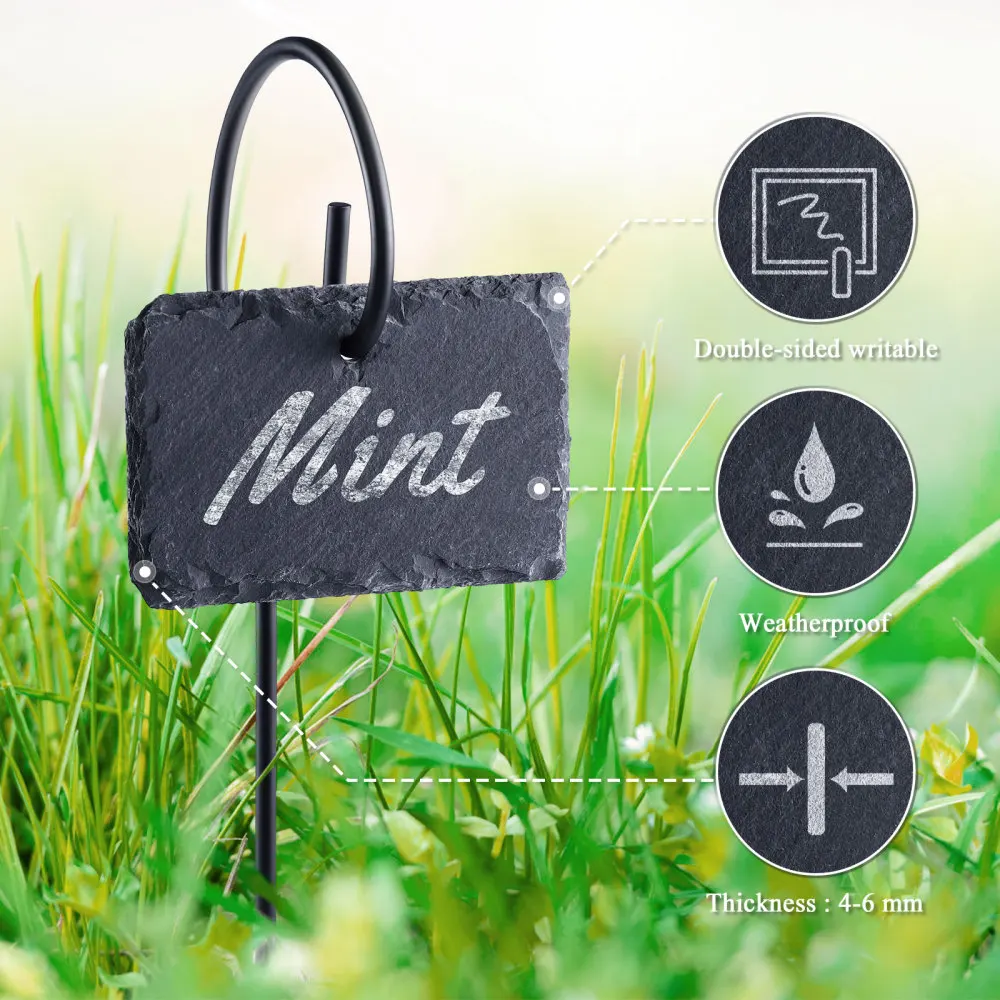 HOMEMAXS 5pcs/pack Slate Plant Labels with Stakes Planting Sign Flower Tags Rods for Greenhouse Backyard Garden Farm (Black)
HOMEMAXS 5pcs/pack Slate Plant Labels with Stakes Planting Sign Flower Tags Rods for Greenhouse Backyard Garden Farm (Black)