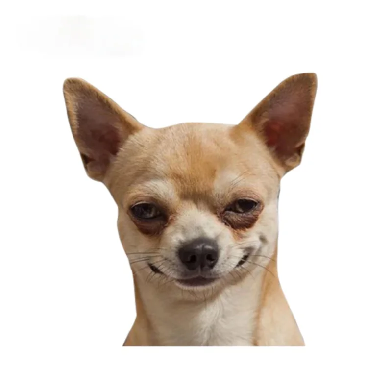 13*12.2cm Funny chihuahua Car-Sticker Automobiles Motorcycles Window Bumper Laptop Vinyl Decal PVC Decorative Goods
13*12.2cm Funny chihuahua Car-Sticker Automobiles Motorcycles Window Bumper Laptop Vinyl Decal PVC Decorative Goods
