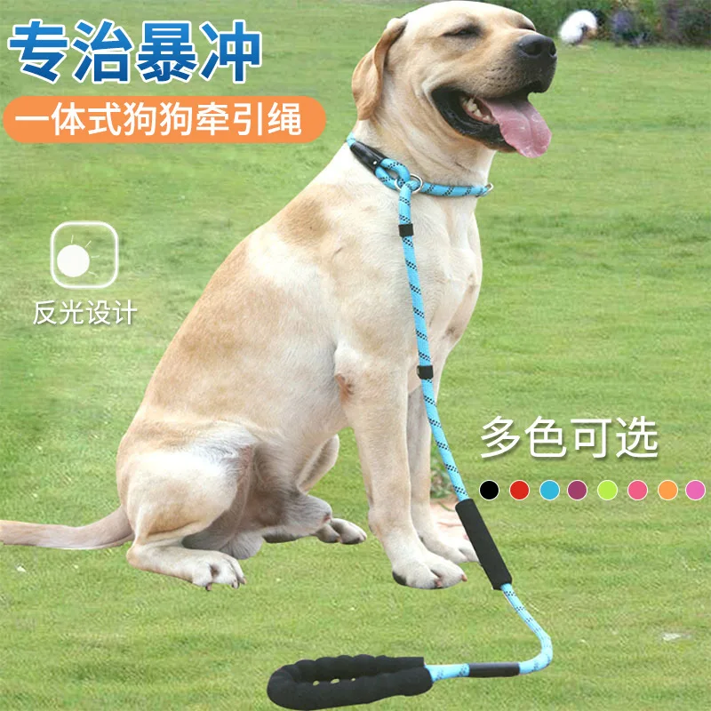 Dog traction rope pet P chain staple ring double pull dog chain round rope nylon with explosion-proof rope
Dog traction rope pet P chain staple ring double pull dog chain round rope nylon with explosion-proof rope