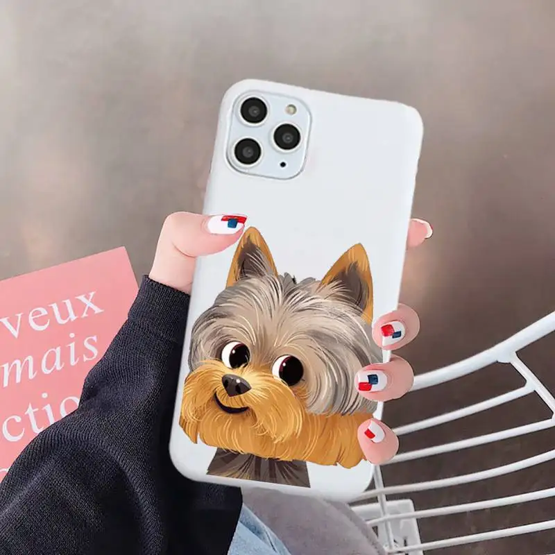 Cute Pug Dog French Bulldog Phone Case Candy Color for iPhone 6 7 8 11 12 s mini pro X XS XR MAX Plus
Cute Pug Dog French Bulldog Phone Case Candy Color for iPhone 6 7 8 11 12 s mini pro X XS XR MAX Plus