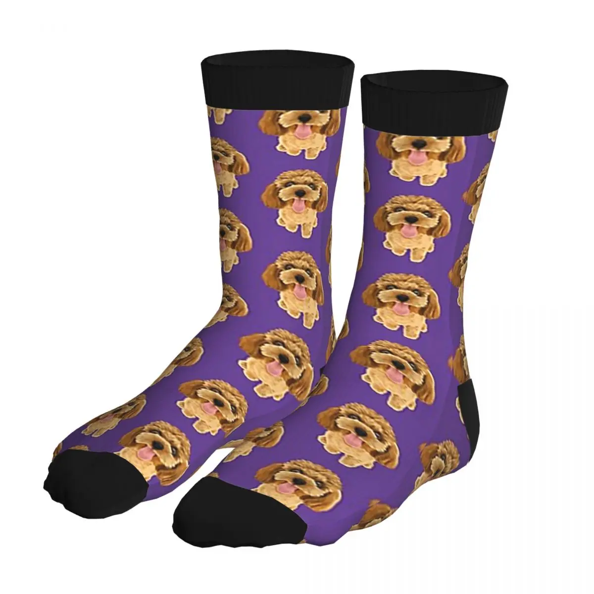 Fun Poodle Puppy Has A Lot Of Energy Thick Contrast Color Socks Men's 5% Spandex Casual Middle Tube Winter New Arrival
Fun Poodle Puppy Has A Lot Of Energy Thick Contrast Color Socks Men's 5% Spandex Casual Middle Tube Winter New Arrival