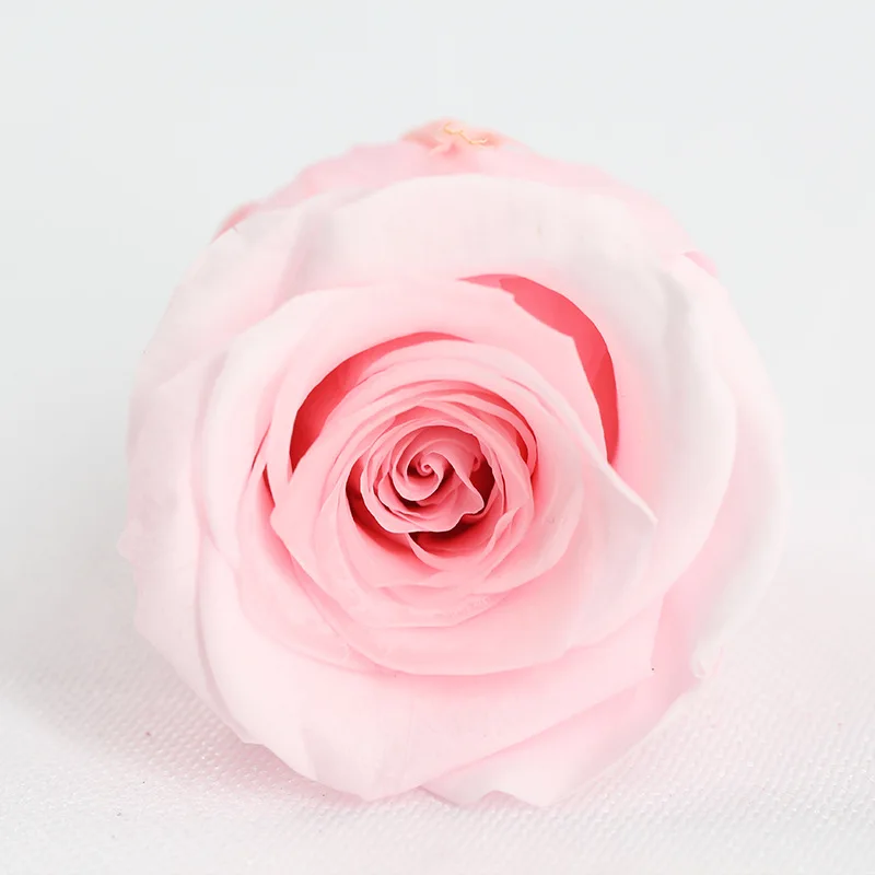 Dekoration 8PCs/BOX High Quality Preserved Rose Immortal Eternal Dried Flowers DIY Material Wholesale Home Decorations 4CM Secas
Dekoration 8PCs/BOX High Quality Preserved Rose Immortal Eternal Dried Flowers DIY Material Wholesale Home Decorations 4CM Secas
