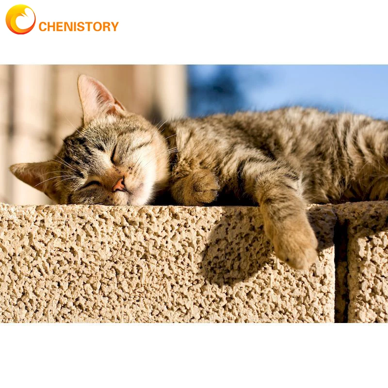 CHENISTORY DIY Acrylic Adult Paint By Numbers Kits For Adults Kids Sunshine Cat Oil Painting Number Kit Home Wall Art Decor
CHENISTORY DIY Acrylic Adult Paint By Numbers Kits For Adults Kids Sunshine Cat Oil Painting Number Kit Home Wall Art Decor