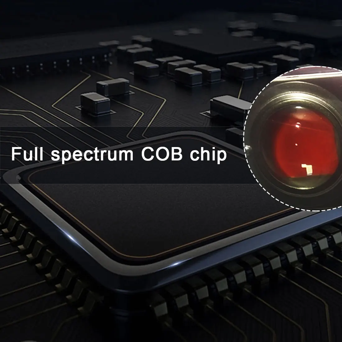 Full Spectrum COB Grow Light 300W High Luminous Efficiency Growing Lamp for Plants COB Phytolamp for Indoor Grow Box Greenhouses
Full Spectrum COB Grow Light 300W High Luminous Efficiency Growing Lamp for Plants COB Phytolamp for Indoor Grow Box Greenhouses