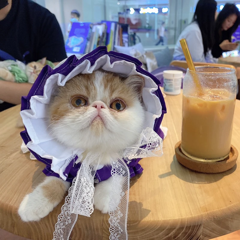 Dog Dress Cotton Cute Maid Skirt Doll Collar Pet Lolita Hat Summer Small Dog Clothes Chihuahua Bichon Teddy Poodle Cat Clothing 
Dog Dress Cotton Cute Maid Skirt Doll Collar Pet Lolita Hat Summer Small Dog Clothes Chihuahua Bichon Teddy Poodle Cat Clothing