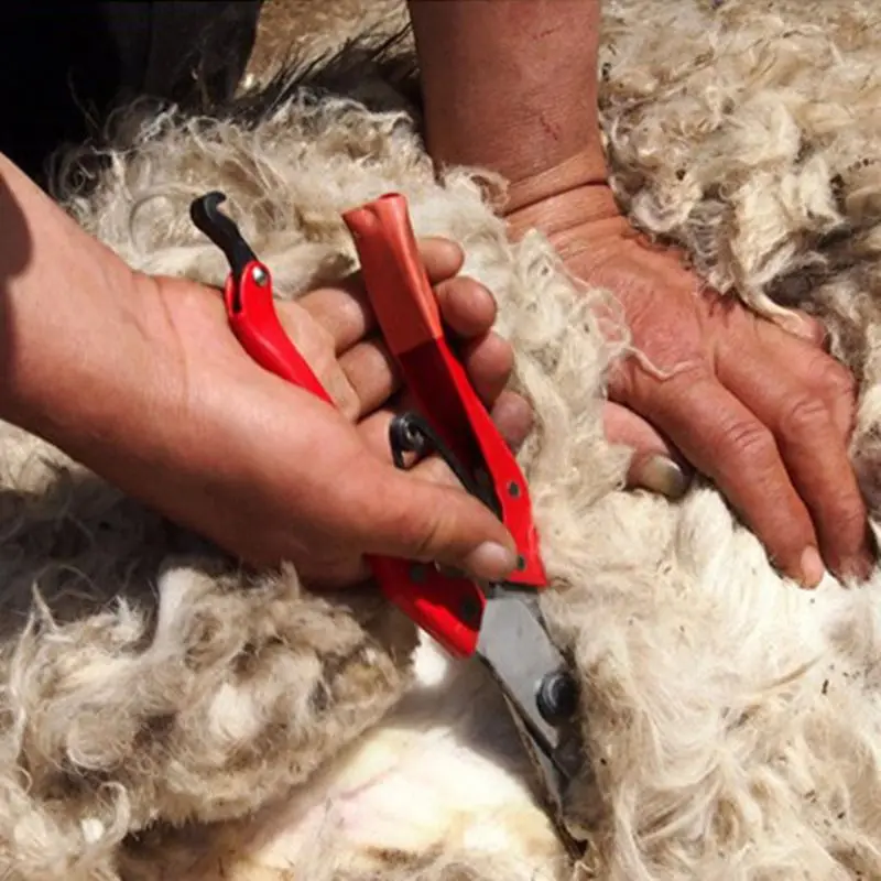 K5DC Farm Sheep Clippers Wool Cutter Shears for Goat Scissors Gardening Shearing Tools Spring Scissors Pet Cut Hair Supplies
K5DC Farm Sheep Clippers Wool Cutter Shears for Goat Scissors Gardening Shearing Tools Spring Scissors Pet Cut Hair Supplies