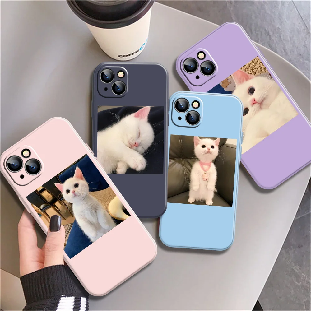 Cute Cat Phone Case For iPhone 13 12 11 Pro Max X XR XS Max 7 8 6 6s Plus 12 13 Mini 5 5S SE2020 Soft TPU Color Phone Back Cover
Cute Cat Phone Case For iPhone 13 12 11 Pro Max X XR XS Max 7 8 6 6s Plus 12 13 Mini 5 5S SE2020 Soft TPU Color Phone Back Cover