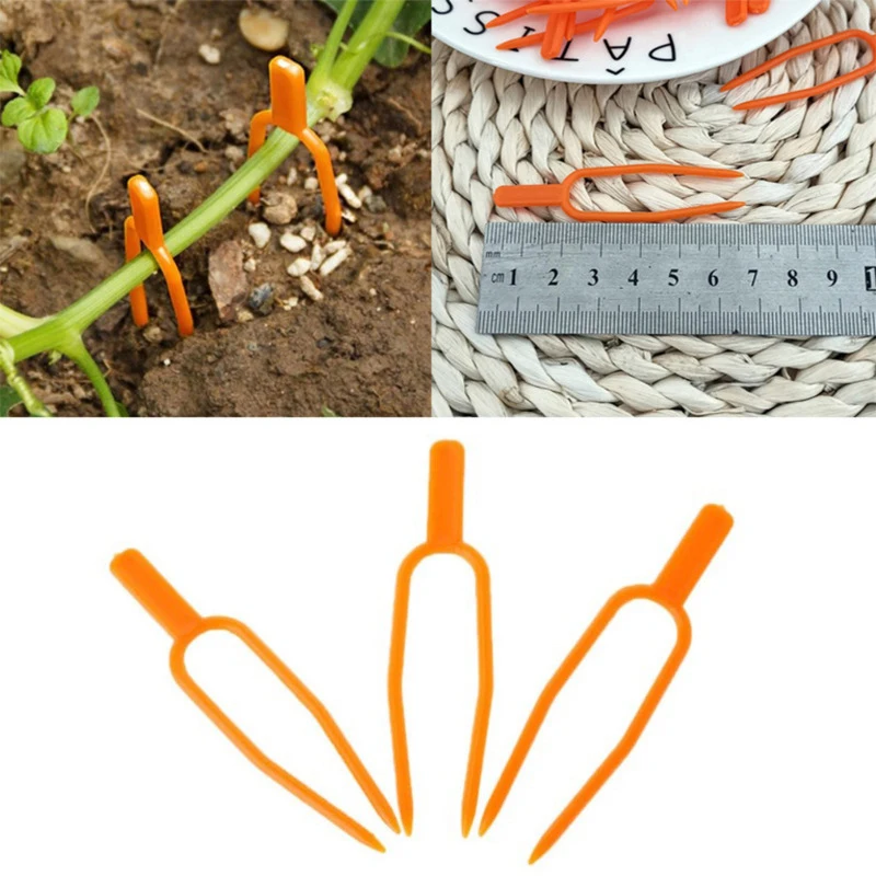 50Pcs Plastic Plant Clips Garden Tools Plant Climbing Support Clips Smooth Surface Clips For Watermelon Strawberry Vines Supplie
50Pcs Plastic Plant Clips Garden Tools Plant Climbing Support Clips Smooth Surface Clips For Watermelon Strawberry Vines Supplie