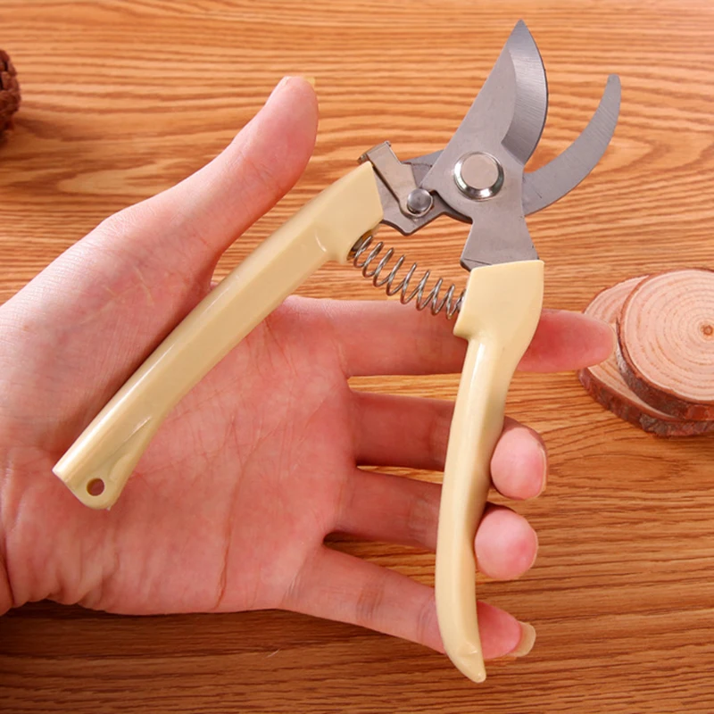 Gardening Shears and Pruning Shears Multifunctional Garden Potted Plant Branch Pruning and Cutting Tools Gardening Hand Tools
Gardening Shears and Pruning Shears Multifunctional Garden Potted Plant Branch Pruning and Cutting Tools Gardening Hand Tools