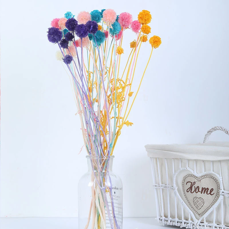 10pcs Artificial Plant Dried Flowers Living Room Decoration Pink Cute Aesthetic Room Decor Home Essentials Gifts Mother'S Day
10pcs Artificial Plant Dried Flowers Living Room Decoration Pink Cute Aesthetic Room Decor Home Essentials Gifts Mother'S Day