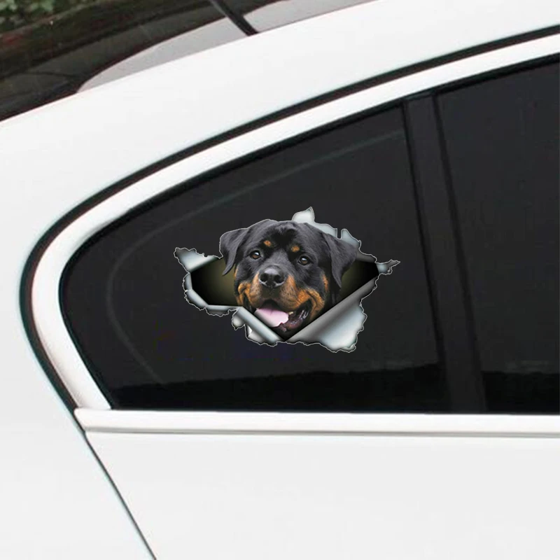 Creative Pet Dog Car Sticker Funny Rottweiler 3D Rott Torn Metal Automobiles Motorcycles Waterproof Vinyl Decal 13cm X 8.5cm
Creative Pet Dog Car Sticker Funny Rottweiler 3D Rott Torn Metal Automobiles Motorcycles Waterproof Vinyl Decal 13cm X 8.5cm