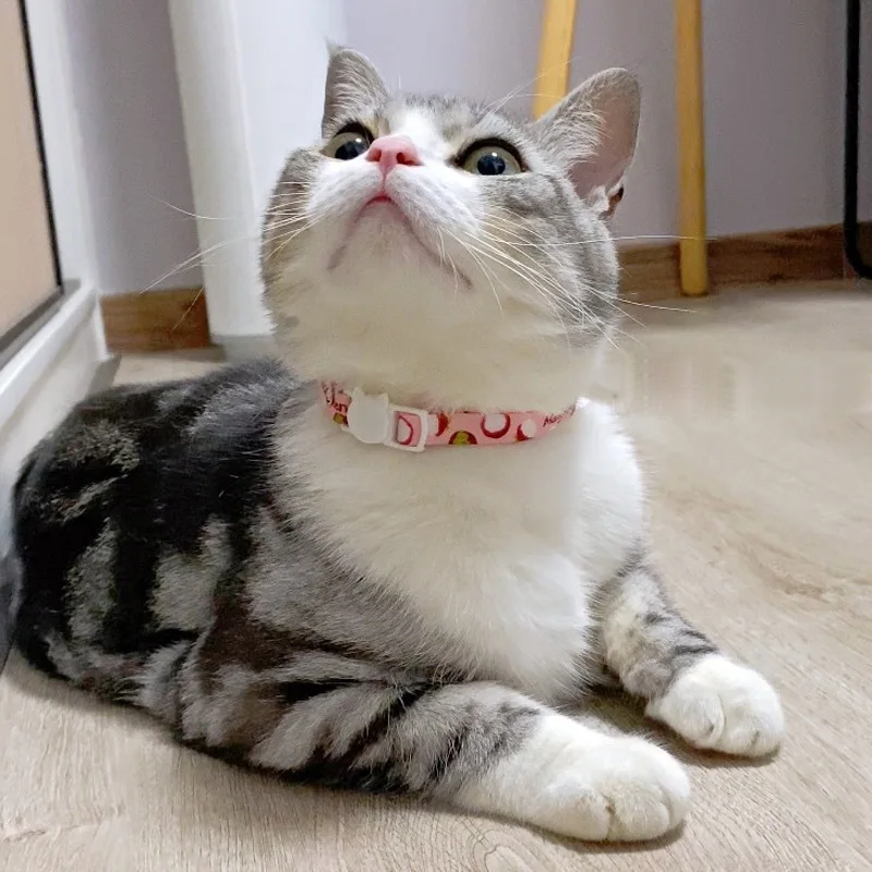 Pet cat collar personalized fruit print bell pendant Cat necklace fashion kitten accessories cat accessories Pet Products
Pet cat collar personalized fruit print bell pendant Cat necklace fashion kitten accessories cat accessories Pet Products