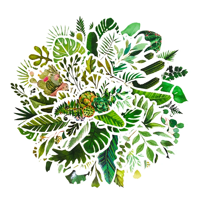 60PCS Fern Leaf Stickers For Case Suitcase Laptop Notebook Guitar Skateboard Lovely Decals Green Shadow Plant Leaf Sticker Pack
60PCS Fern Leaf Stickers For Case Suitcase Laptop Notebook Guitar Skateboard Lovely Decals Green Shadow Plant Leaf Sticker Pack