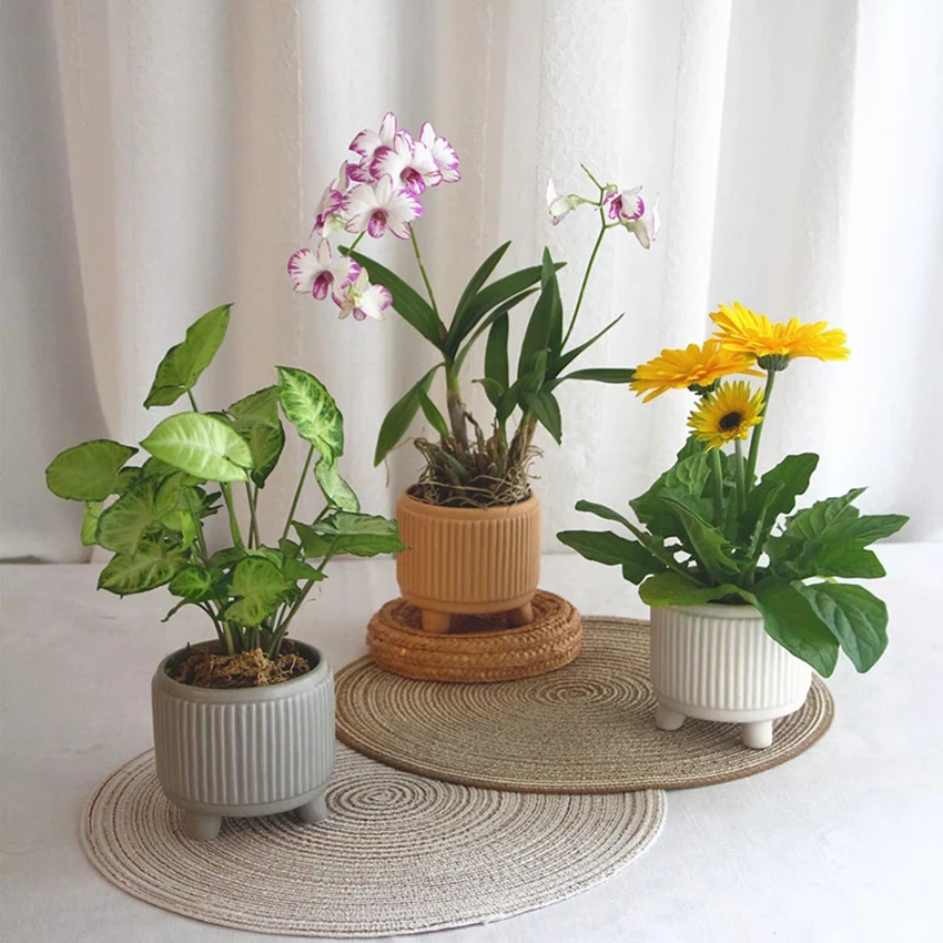 Modern Combination Succulent Flower Pot Ceramic Nordic Garden Cylindrical Small Potted Flower Pot Desktop Plant Home Decoration
Modern Combination Succulent Flower Pot Ceramic Nordic Garden Cylindrical Small Potted Flower Pot Desktop Plant Home Decoration