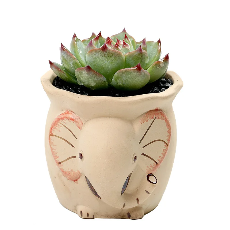 Creative Cartoon Rabbit Fox Eagle Fleshy Flowerpot Lovely Little Animal Meat Pot Ceramic Balcony Office Decorative Flowerpot
Creative Cartoon Rabbit Fox Eagle Fleshy Flowerpot Lovely Little Animal Meat Pot Ceramic Balcony Office Decorative Flowerpot
