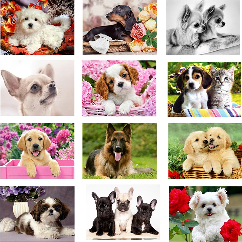 5D Full Square Diamond Embroidery Anmial Dog Cross Stitch DIY Diamond Painting Diamond Mosaic rhinestones Home Decor WDY
5D Full Square Diamond Embroidery Anmial Dog Cross Stitch DIY Diamond Painting Diamond Mosaic rhinestones Home Decor WDY