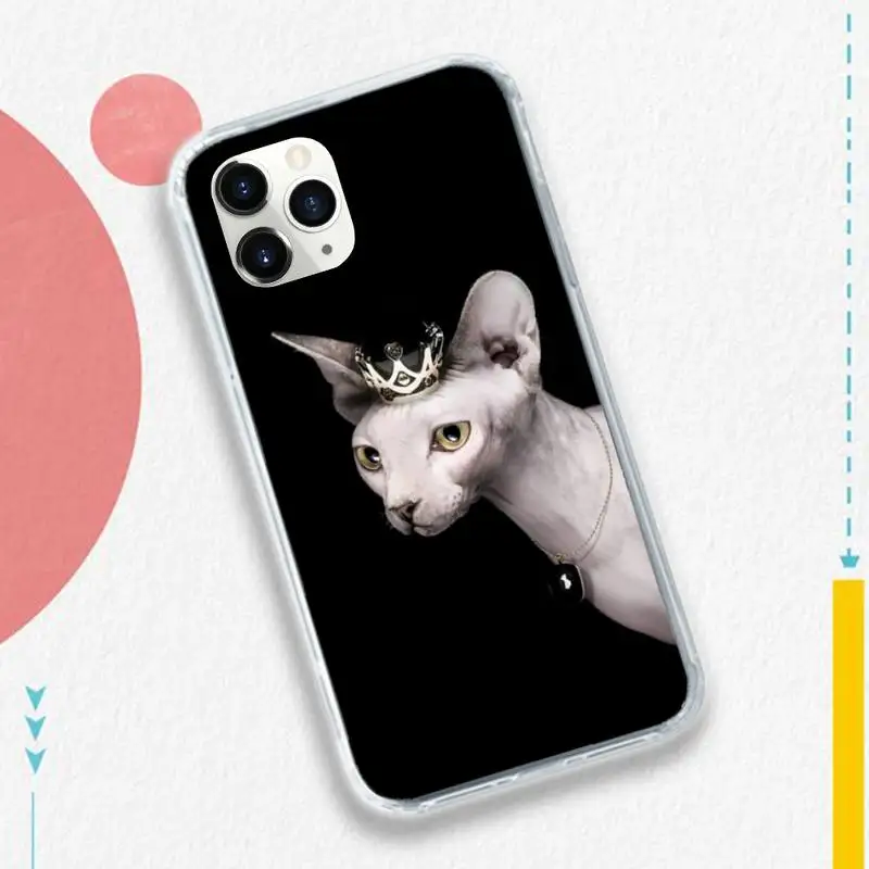 sphynx cat cool animal high quality Phone Case shell for iPhone 11 12 pro XS MAX 8 7 6 6S Plus X 5S SE 2020 XR
sphynx cat cool animal high quality Phone Case shell for iPhone 11 12 pro XS MAX 8 7 6 6S Plus X 5S SE 2020 XR