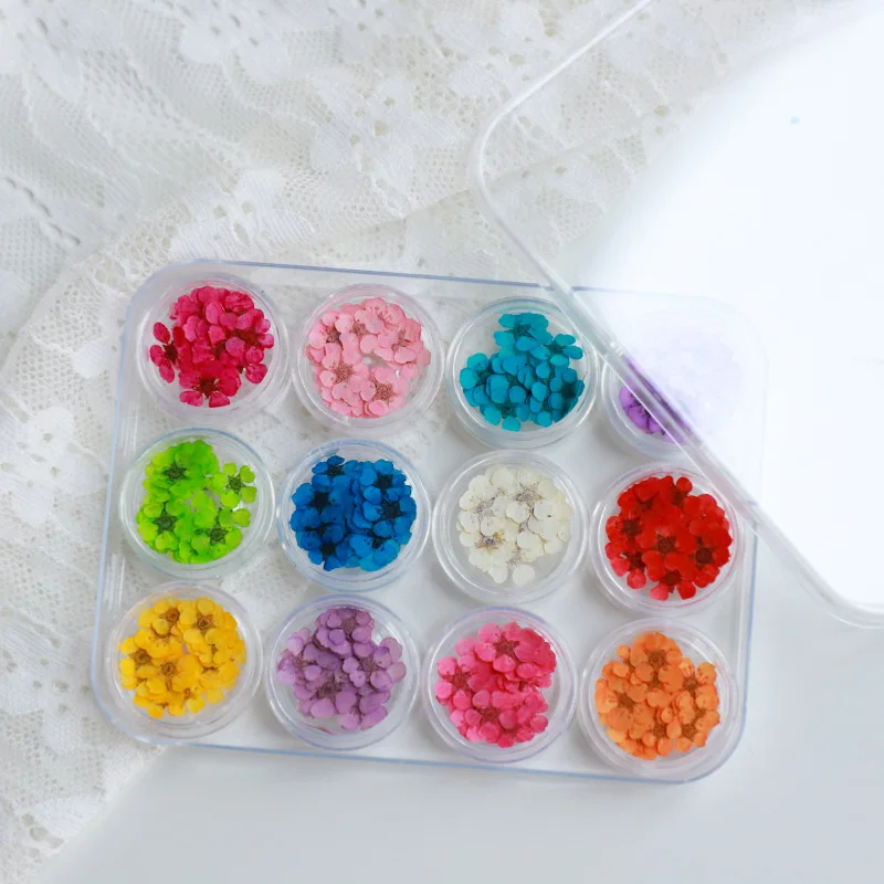 36/120/240Pcs 12 color natural real dried flowers Nail Art Decals Leaf Dry Plant creative nail material nail art flowers
36/120/240Pcs 12 color natural real dried flowers Nail Art Decals Leaf Dry Plant creative nail material nail art flowers