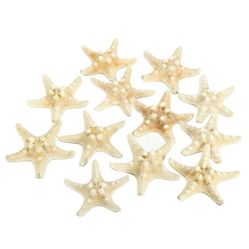 12 x White Knobby Starfish 5cm -7cm Sea Star Shell Beach Wedding Display Craft Decor
12 x White Knobby Starfish 5cm -7cm Sea Star Shell Beach Wedding Display Craft Decor