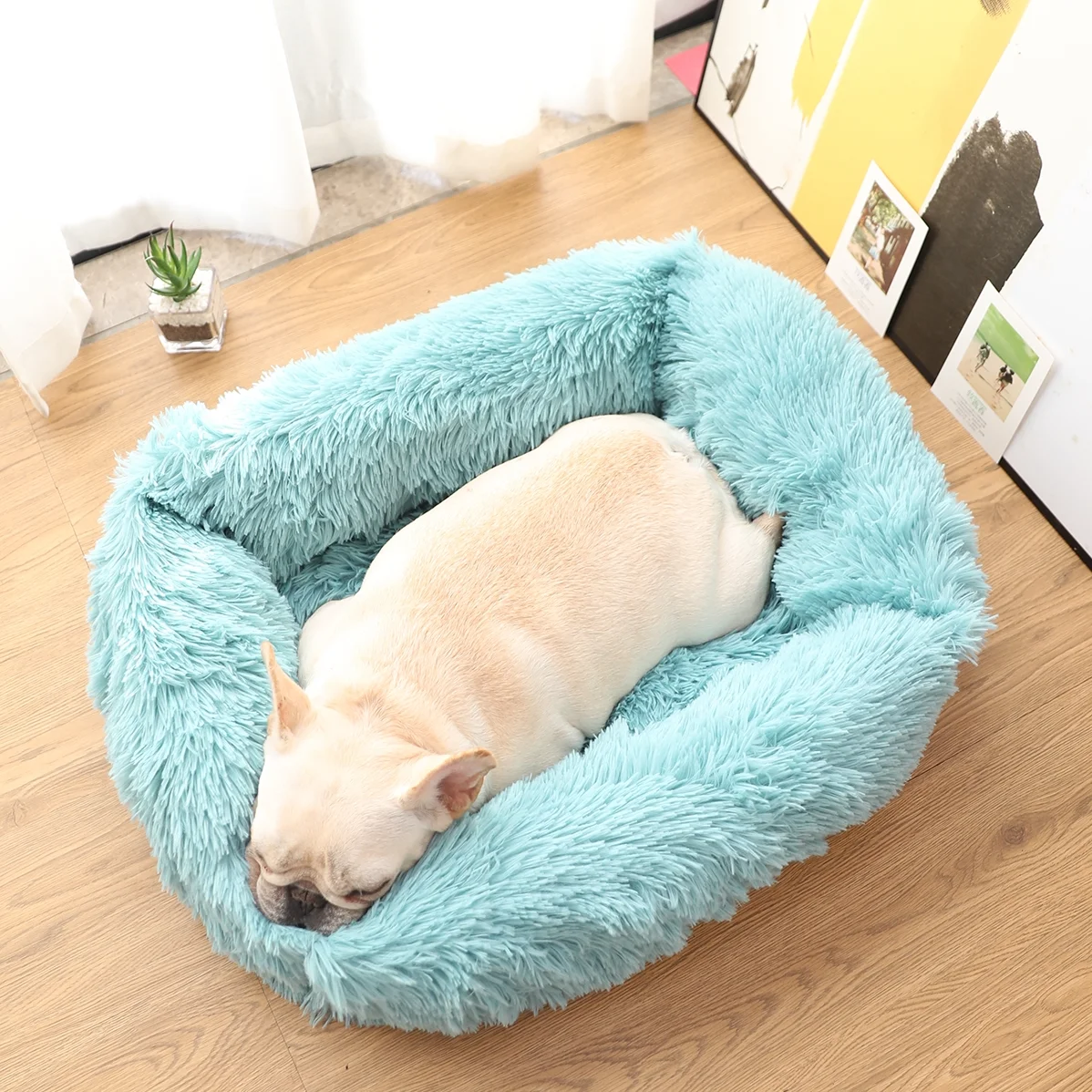 Washable House Dog Bed Pets Accessories Indoor Creativity Sleeping Dog Beds Warm Pet House Cama Perro Dog Accessories BC50GW
Washable House Dog Bed Pets Accessories Indoor Creativity Sleeping Dog Beds Warm Pet House Cama Perro Dog Accessories BC50GW