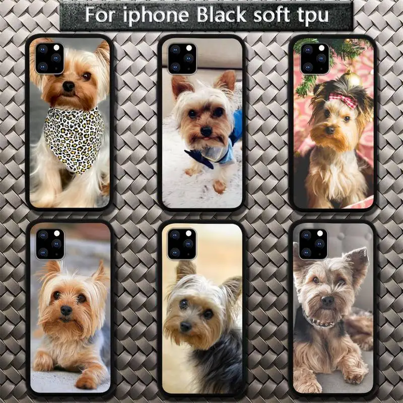 Cute pet Yorkshire Terrier dog Phone Case for iphone etui 11 12 pro se 20 max xr xs x 7 8 6s plus mini Fundas Coque cover
Cute pet Yorkshire Terrier dog Phone Case for iphone etui 11 12 pro se 20 max xr xs x 7 8 6s plus mini Fundas Coque cover