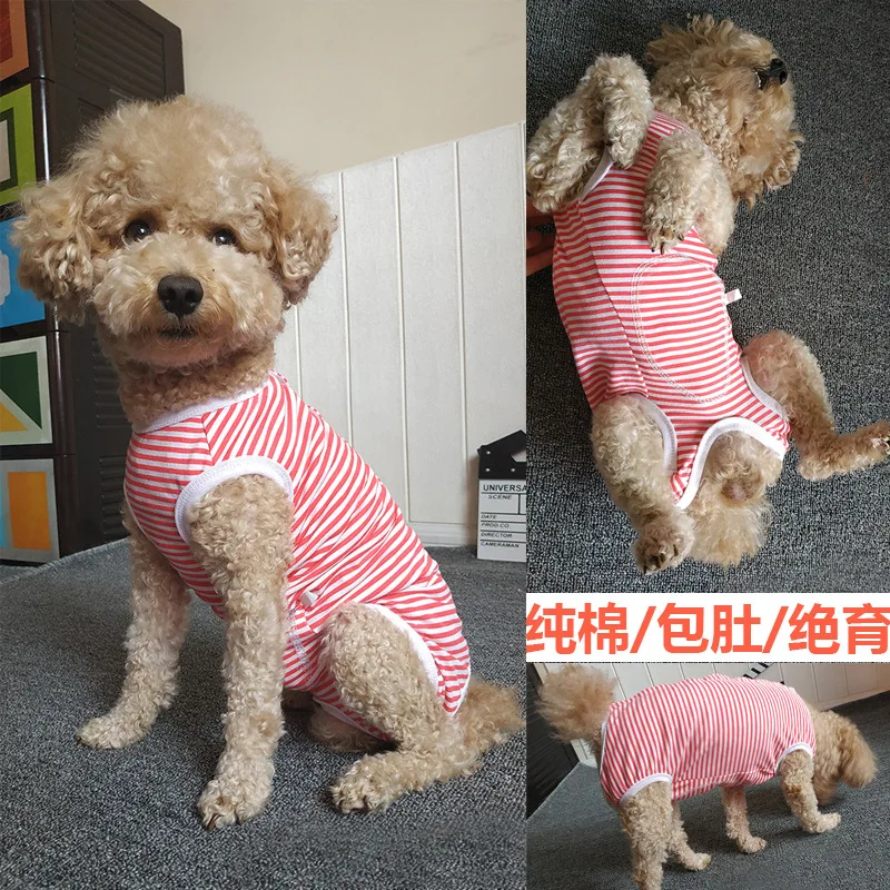 Dog Clothes Homewear Clothes Cotton Red Striped Breathable Belly Contracting Weaning Female Dog Jumpsuit for Dogs Pet Costumes
Dog Clothes Homewear Clothes Cotton Red Striped Breathable Belly Contracting Weaning Female Dog Jumpsuit for Dogs Pet Costumes