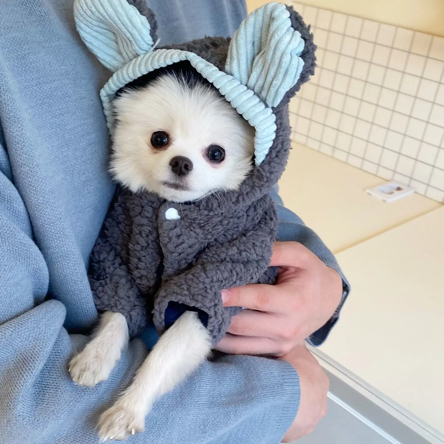 

Pet designer dog clothes fashion autumn winter plus velvet thick warm cotton coat Teddy Bichon Pomeranian puppy kitten chihuahua