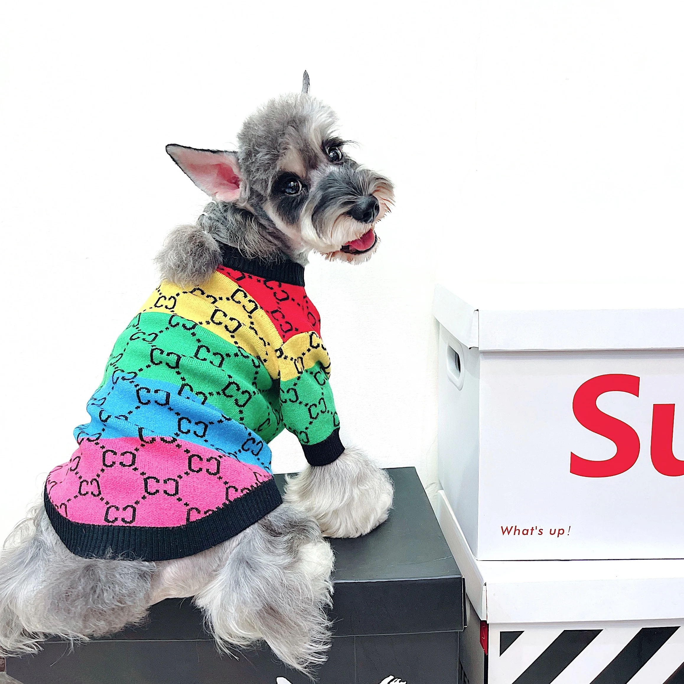 Trendy Brand Pet Clothes Small And Medium-Sized Dogs Rainbow Stripes Autumn And Winter Sweater Cat Dog Clothes Chihuahua Clothes
Trendy Brand Pet Clothes Small And Medium-Sized Dogs Rainbow Stripes Autumn And Winter Sweater Cat Dog Clothes Chihuahua Clothes