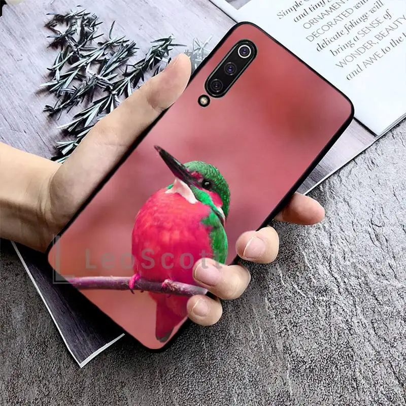 pretty Hummingbird Phone Case For Xiaomi Redmi 7 8 9t a3 9se k20 mi8 max3 lite 9 note 9s 10 pro
pretty Hummingbird Phone Case For Xiaomi Redmi 7 8 9t a3 9se k20 mi8 max3 lite 9 note 9s 10 pro