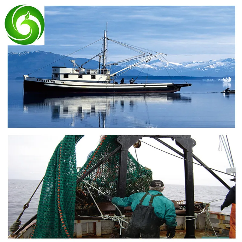 High quality dried sea cucumber,stichopus japonicus 
High quality dried sea cucumber,stichopus japonicus