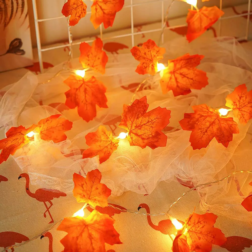 20 LED Autumn Fairy Tale Decoration Lights, 3AA/USB Plug-in, Suitable for Indoor and Outdoor Party Thanksgiving Decoration
20 LED Autumn Fairy Tale Decoration Lights, 3AA/USB Plug-in, Suitable for Indoor and Outdoor Party Thanksgiving Decoration