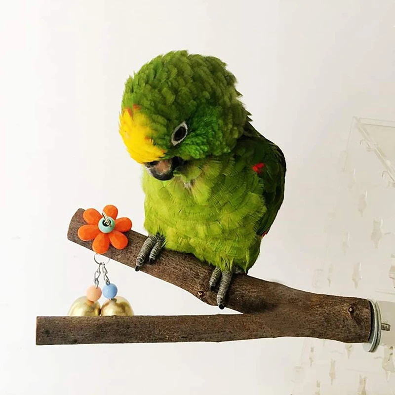4 pieces/set of parrot chewing toy natural wooden tree branch stand long tail bird perch supplies bird cage branch
4 pieces/set of parrot chewing toy natural wooden tree branch stand long tail bird perch supplies bird cage branch