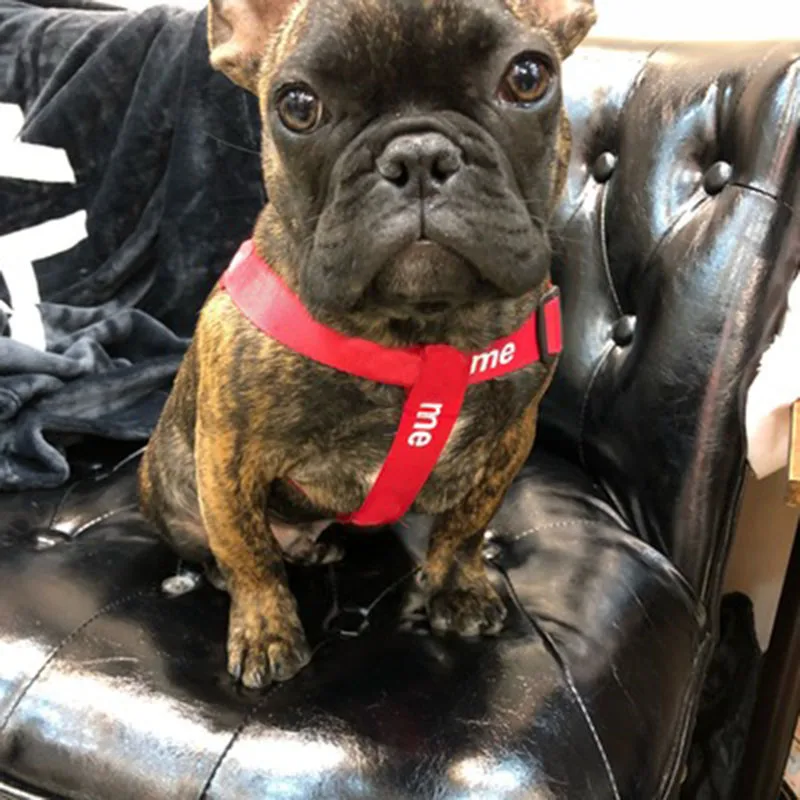 Dog Leash Harness Designer Dog Collar Dog Accessories for Small Dogs Dog Leash and Collar Set Dropshipping ZY1005
Dog Leash Harness Designer Dog Collar Dog Accessories for Small Dogs Dog Leash and Collar Set Dropshipping ZY1005