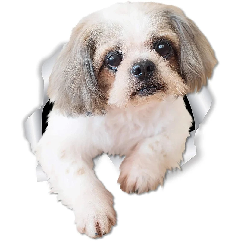 S50261 #13 см/15 см/17 см Индивидуальная ПВХ наклейка Милая Shih Tzu искусственная кожа на мотоцикл ноутбук декоративные аксессуары
S50261 #13 см/15 см/17 см Индивидуальная ПВХ наклейка Милая Shih Tzu искусственная кожа на мотоцикл ноутбук декоративные аксессуары