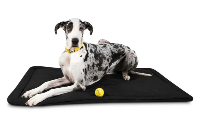 Spring Blossoms Tough Dog Crate Pad Square Waterproof Rip-Stop Ballistic Fabric Cool in summer Pet Mat
Spring Blossoms Tough Dog Crate Pad Square Waterproof Rip-Stop Ballistic Fabric Cool in summer Pet Mat
