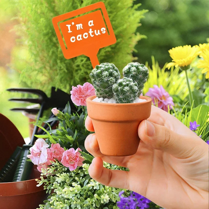 40Pcs Colorful Plastic Plant Tags, T-Type Garden Labels, Waterproof Nursery Garden Markers (Random Color)
40Pcs Colorful Plastic Plant Tags, T-Type Garden Labels, Waterproof Nursery Garden Markers (Random Color)