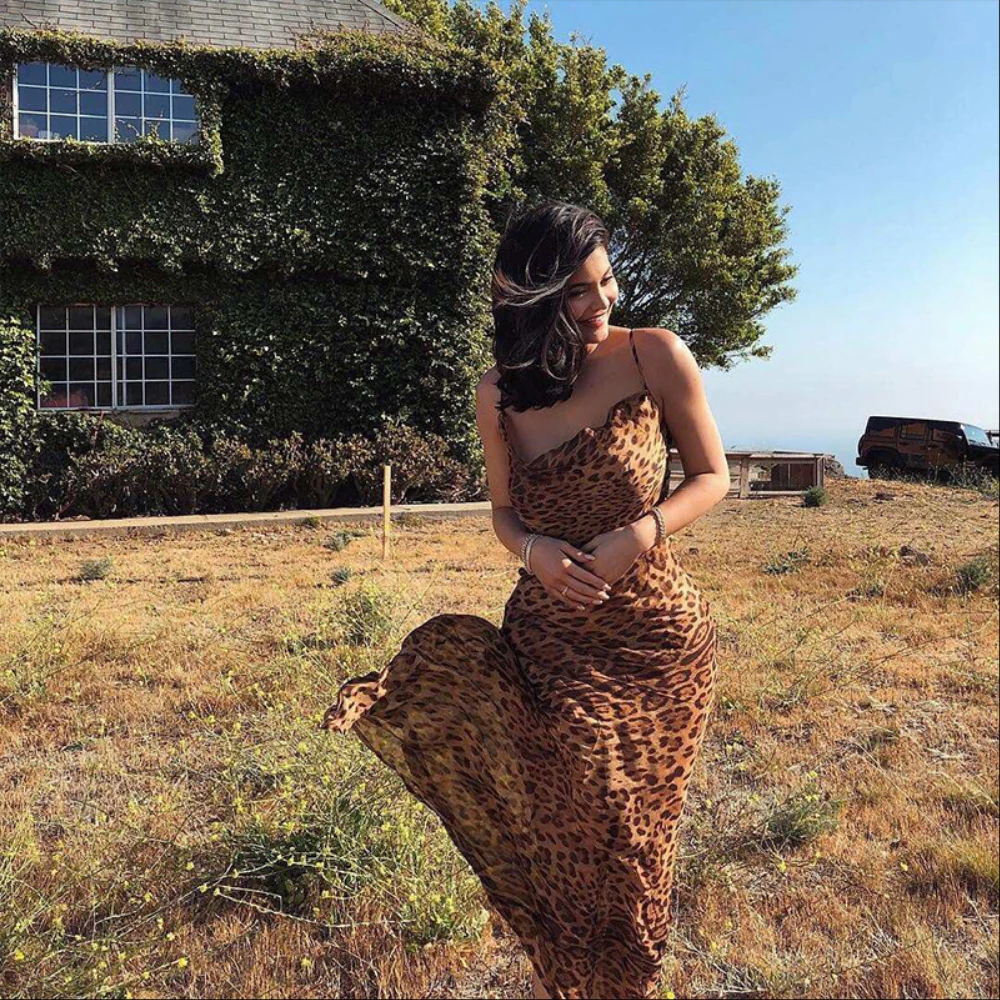 Summer Party Dress Sexy V Neck Leopard Women Spaghetti Strap Backless Slim Maxi Dress Summer Chiffon Long Beach Dress For Women
Summer Party Dress Sexy V Neck Leopard Women Spaghetti Strap Backless Slim Maxi Dress Summer Chiffon Long Beach Dress For Women