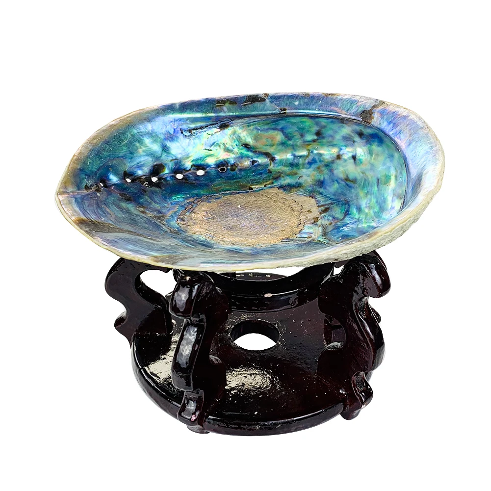 13-15cm Natural New Zealand Abalone Shell Conch Seashell Display Stand Holder Nautical Home Decor DIY Aquarium Landscape Craft
13-15cm Natural New Zealand Abalone Shell Conch Seashell Display Stand Holder Nautical Home Decor DIY Aquarium Landscape Craft