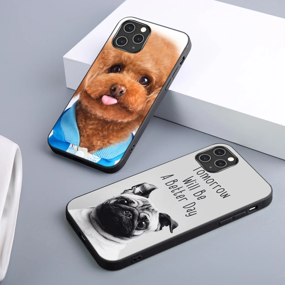 Alaska Teddy Dog Case For iPhone 12 11 Pro Max Mini Cover for iPhone X XR XS MAX 7 8 6 6S Plus 5S SE 2020 Soft TPU Phone Fundas
Alaska Teddy Dog Case For iPhone 12 11 Pro Max Mini Cover for iPhone X XR XS MAX 7 8 6 6S Plus 5S SE 2020 Soft TPU Phone Fundas